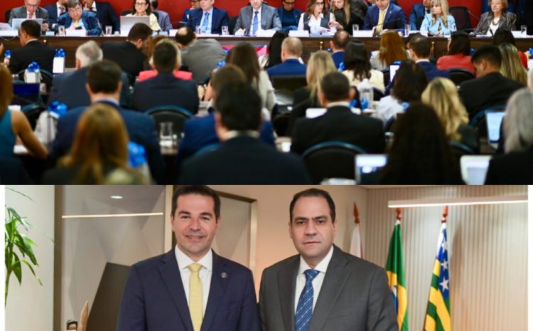  OAB Goiás sedia, pela primeira vez, sessão do Conselho Federal da OAB com debates de pautas da advocacia brasileira