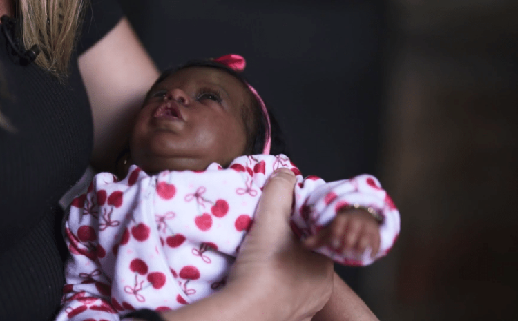  Caso ‘mãe’ de bebê reborn: juiz homologa desistência e aciona PF e MPF para investigar suposta fraude em assinatura de advogado