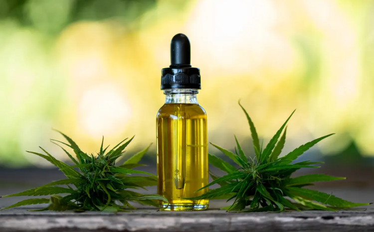 TRF-3 concede salvo-conduto a paciente com lombalgia e ansiedade para cultivo de cannabis medicinal