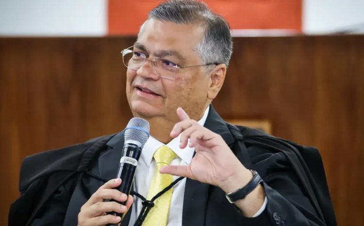  ”Deve ter emenda no céu, porque senão não seria o céu”, brinca Dino em audiência pública