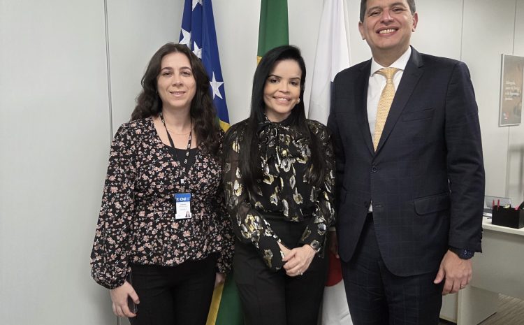  Ouvidora Nacional da Mulher Advogada, Katianne Wirna inicia interlocução com CNJ para tratar demandas da advocacia feminina