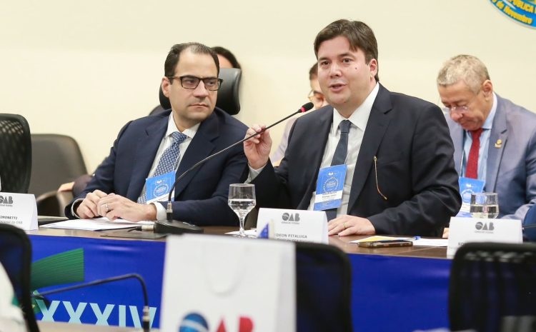  ESA Nacional vai integrar ações para oferecer capacitação da advocacia promove encontro com dirigentes estaduais para alinhar as diretrizes do triênio