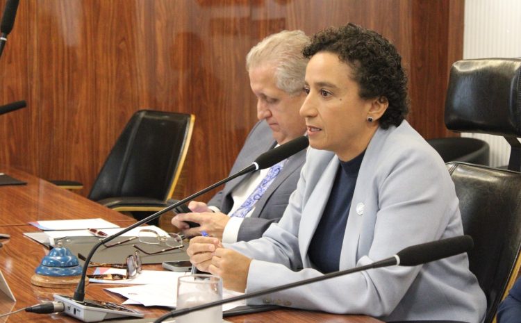  Por mais transparência, OAB-ES aprova mudanças na votação do Quinto Constitucional e institui paridade de gênero