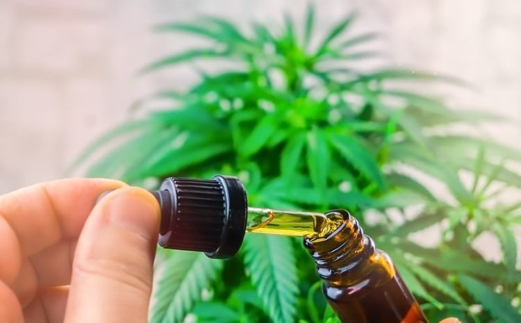  Juiz autoriza farmácia a manipular medicamentos à base de canabidiol e questiona regra da Anvisa
