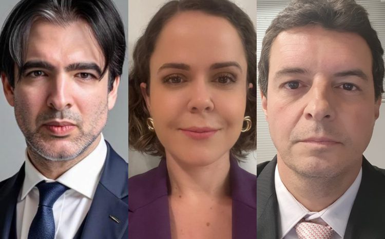 Honorários advocatícios: aos fatos. Um resgate à verdade