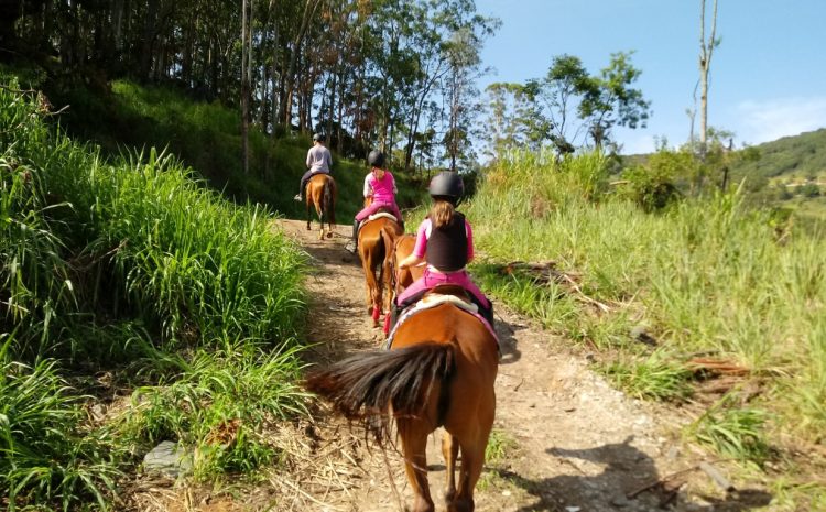  Não é preciso provar dano moral após acidente de trabalho, reitera TST em caso de mulher que caiu de cavalo em parque temático